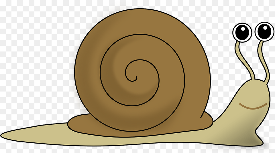 Snail Clipart, Animal, Invertebrate, Disk Png