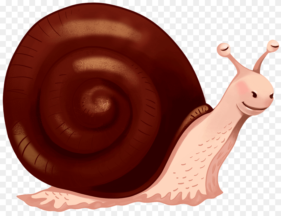 Snail Clipart, Animal, Invertebrate Free Png Download