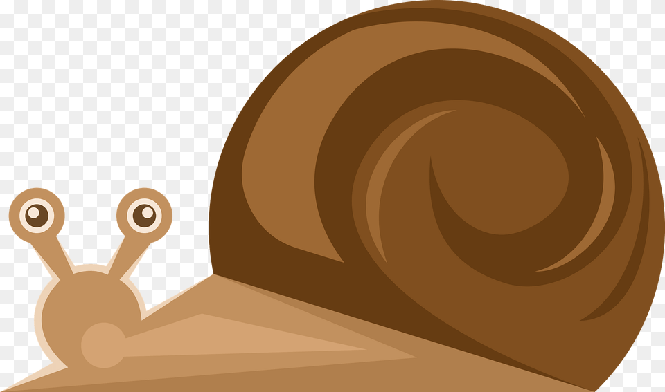 Snail Clipart, Animal, Invertebrate Free Png Download