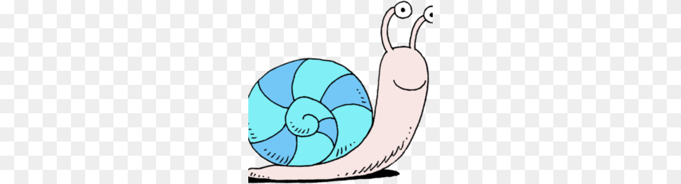 Snail Clipart, Animal, Invertebrate Free Png Download