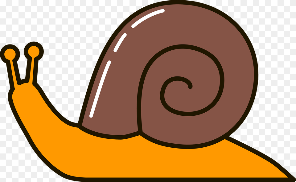 Snail Clipart, Animal, Invertebrate Png