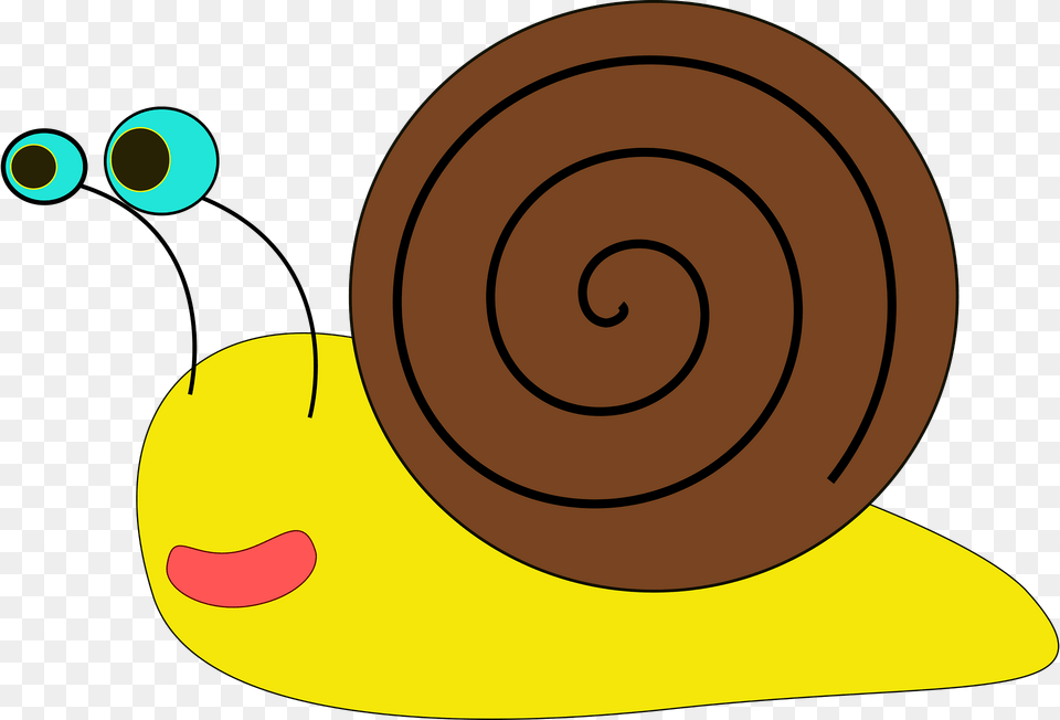 Snail Clipart, Animal, Invertebrate Free Png Download