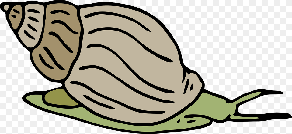 Snail Clipart, Animal, Invertebrate, Baby, Person Png Image