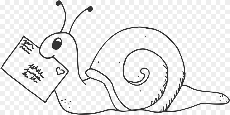 Snail Clipart Head Cartoon, Gray Png Image