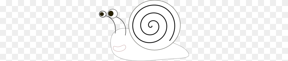 Snail Clipart Outline, Spiral, Animal, Invertebrate Png