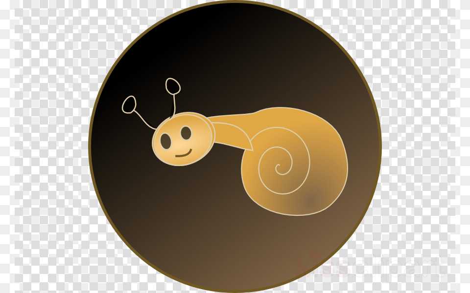 Snail Clipart Snail Gastropods Clip Art Clip Art Free Png