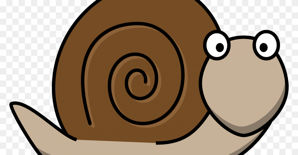 Snail Clipart Snail Mail, Animal, Invertebrate, Clothing, Hat Png