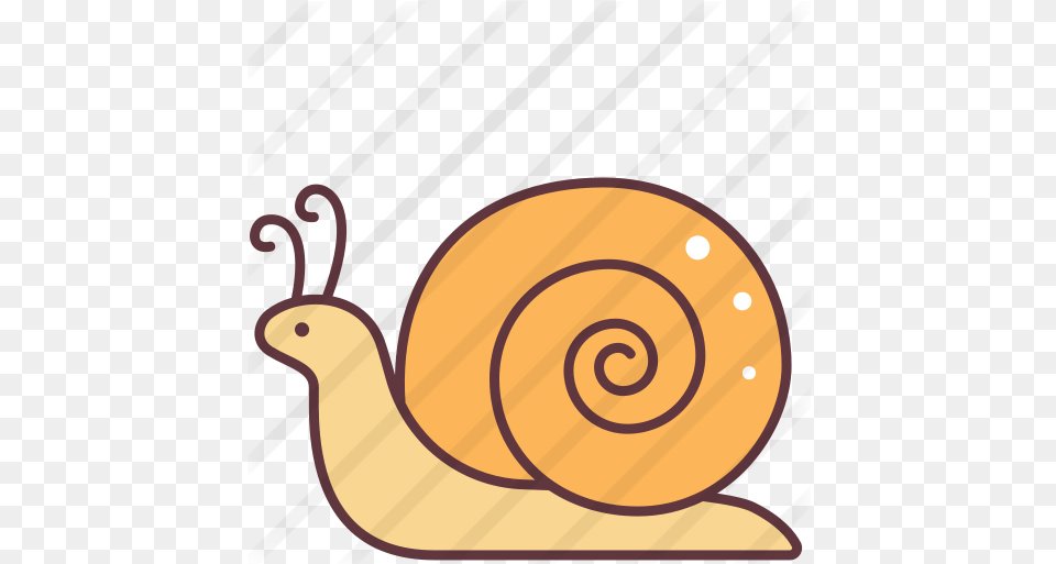Snail Animals Icons Lymnaeidae, Animal, Invertebrate Free Transparent Png