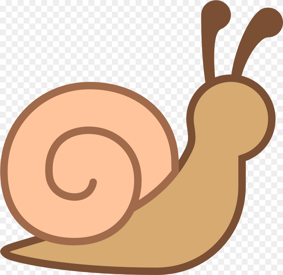 Snail Free Download Snail Icon, Animal, Invertebrate Png