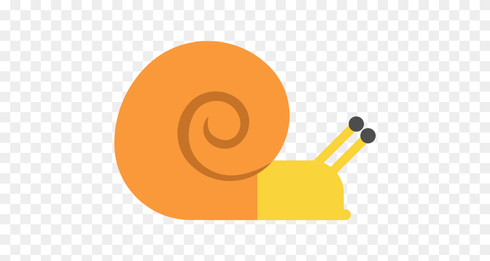Snail Icon, Animal, Invertebrate Png Image