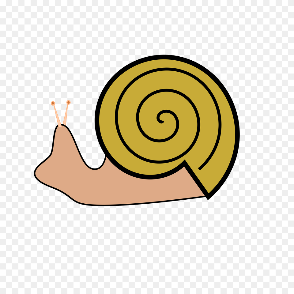 Snail Icons, Animal, Invertebrate Free Png Download