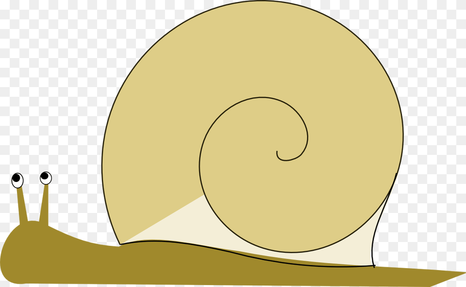Snail Image Clipart Snail Clipart Background, Animal, Invertebrate, Disk Free Png