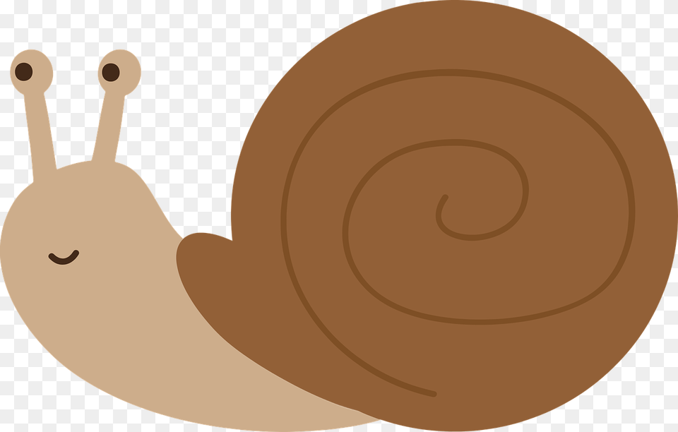 Snail Molluscum Shell Nature Field Cartoon Snail, Animal, Invertebrate Free Png