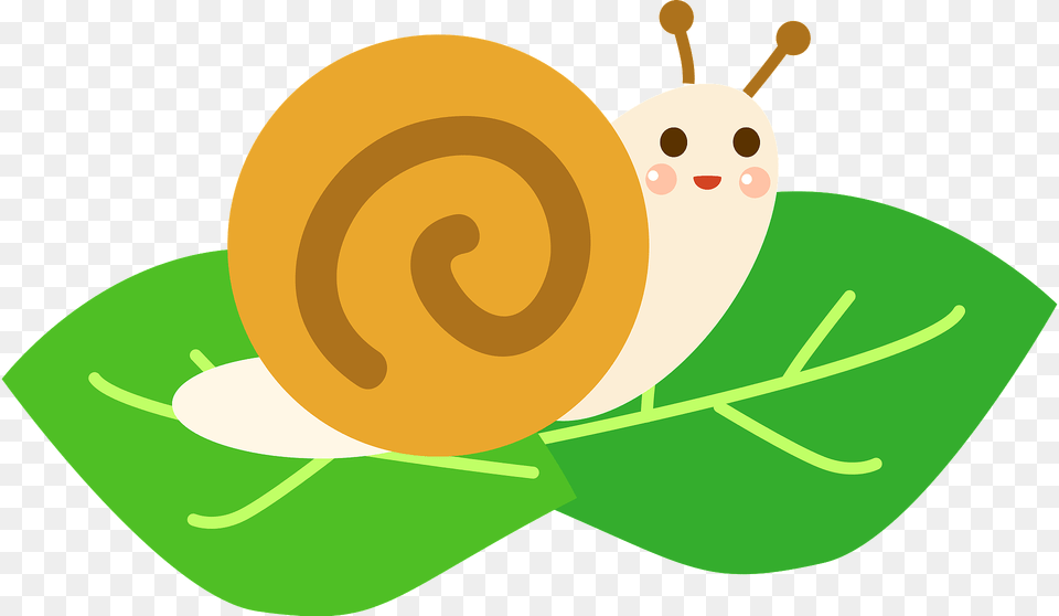 Snail On A Leaf Clipart, Animal, Invertebrate Png