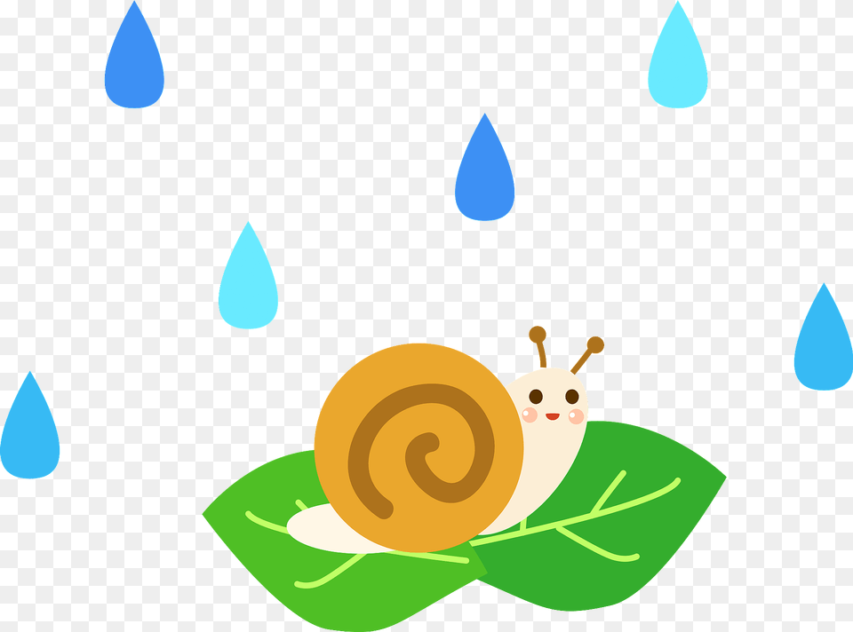 Snail On A Leaf In The Rain Clipart, Animal, Invertebrate, Astronomy, Moon Free Png