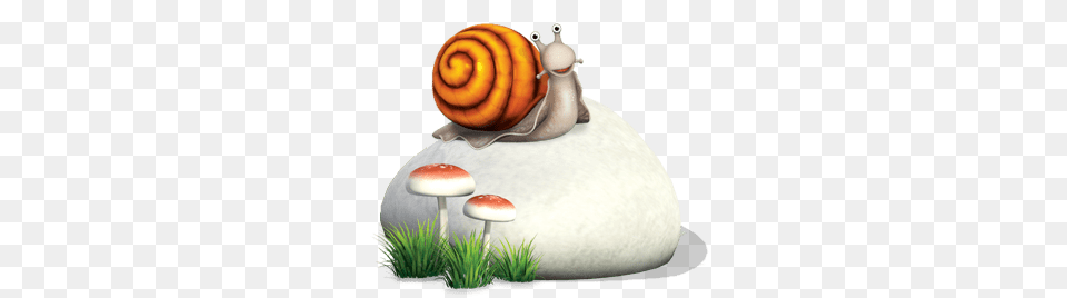 Snail On A Rock, Fungus, Plant, Animal, Invertebrate Free Png