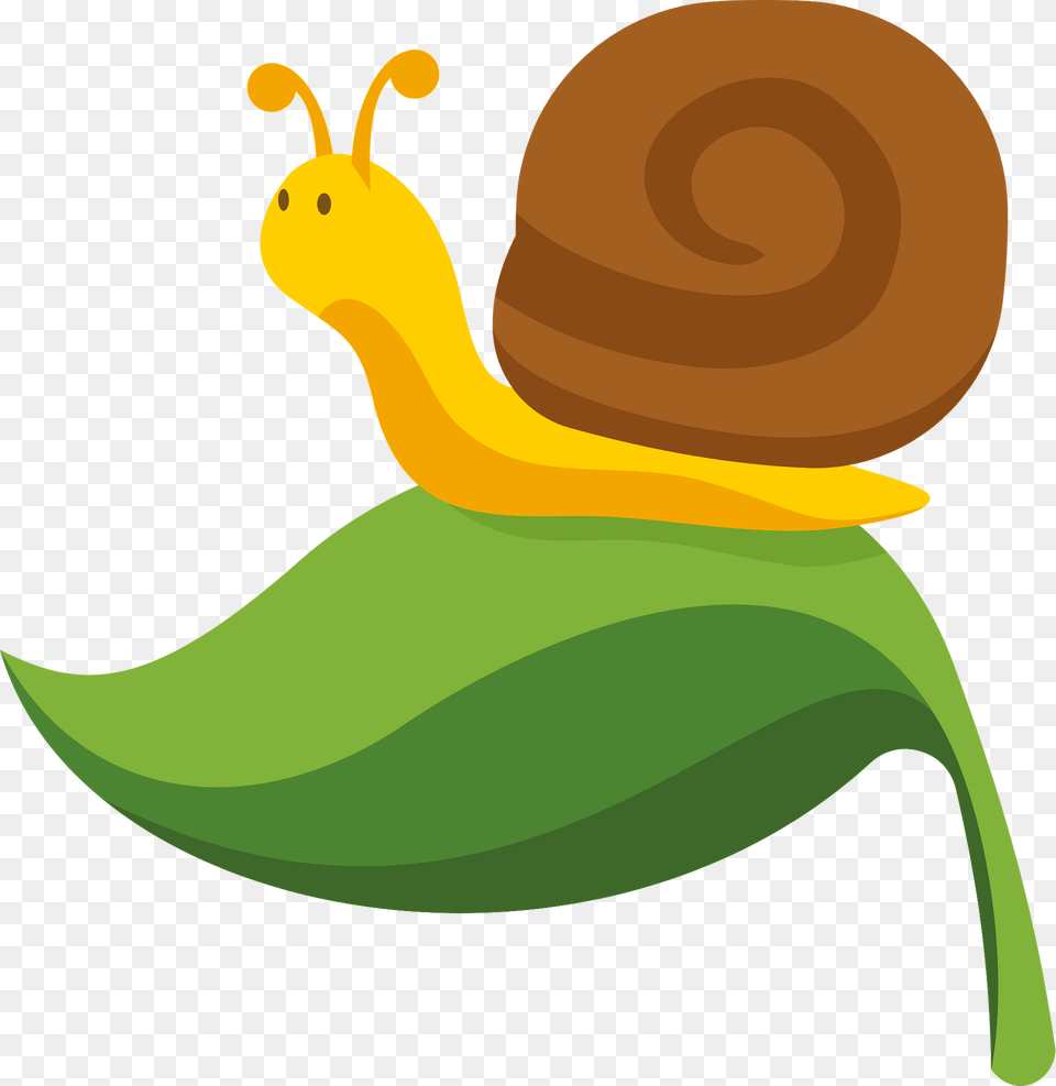 Snail On The Leaf Clipart, Animal, Invertebrate, Reptile, Snake Png