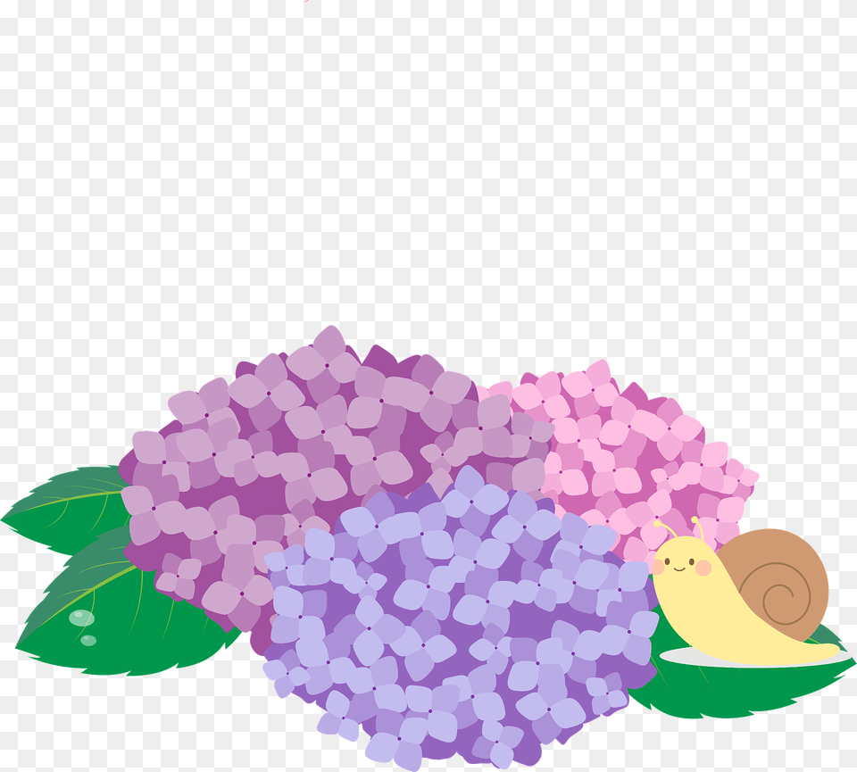 Snail Resting By The Hydrangeas Clipart, Flower, Plant, Purple Png Image