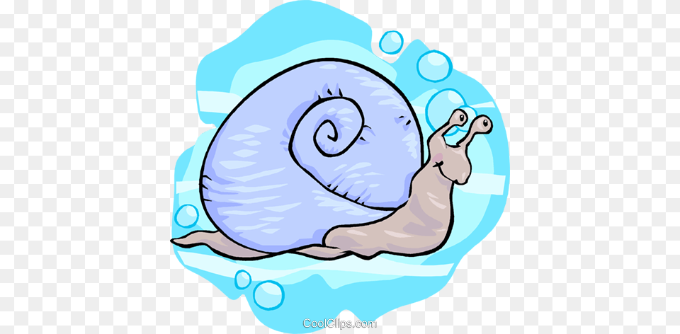 Snail Royalty Vector Clip Art Illustration, Animal, Invertebrate Free Png