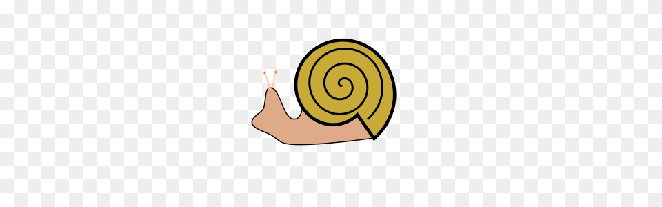 Snail Shells Clipart, Animal, Invertebrate Free Png Download