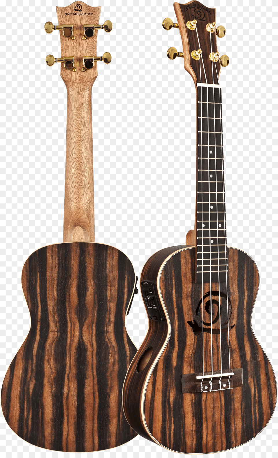 Snail Ukulele Png Image