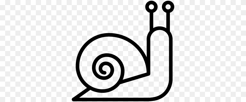 Snail Vector Snail Icon, Gray Free Transparent Png