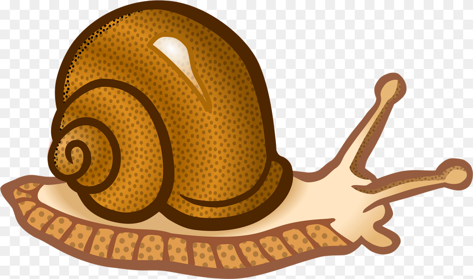 Snails, Animal, Invertebrate, Snail, Smoke Pipe Free Png Download