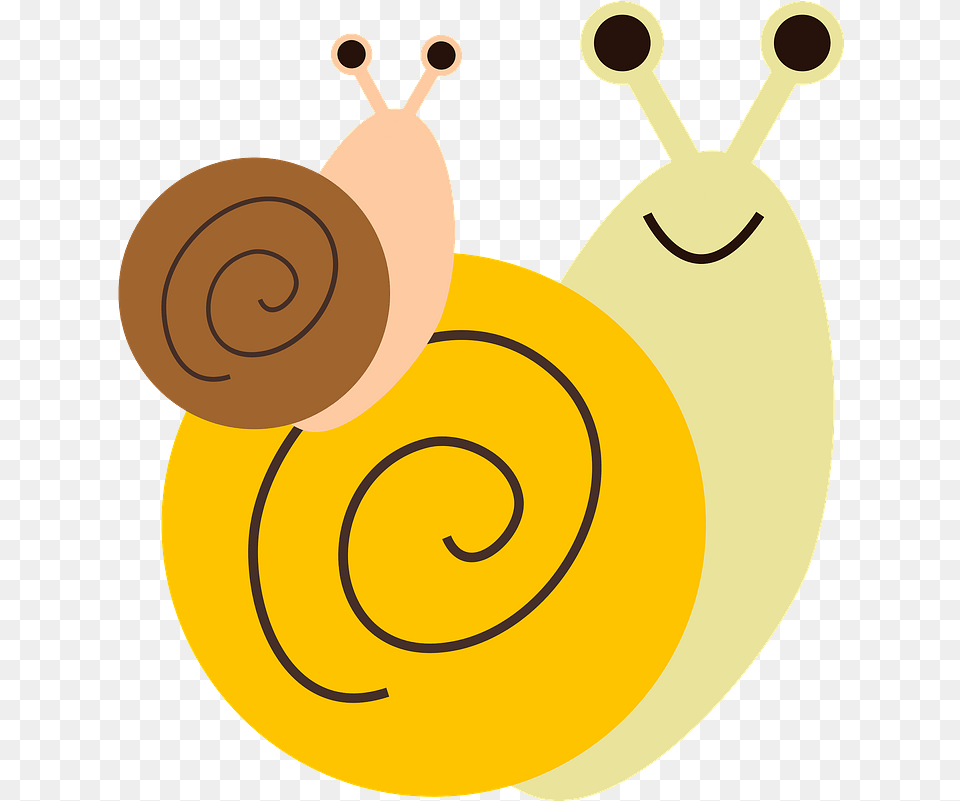 Snails Animal Clipart Download Sea Snail, Invertebrate Free Transparent Png