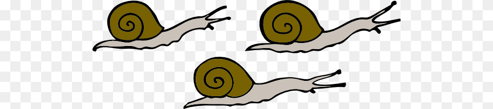 Snails Clip Art Free Vector, Animal, Invertebrate, Snail, Dinosaur Png Image