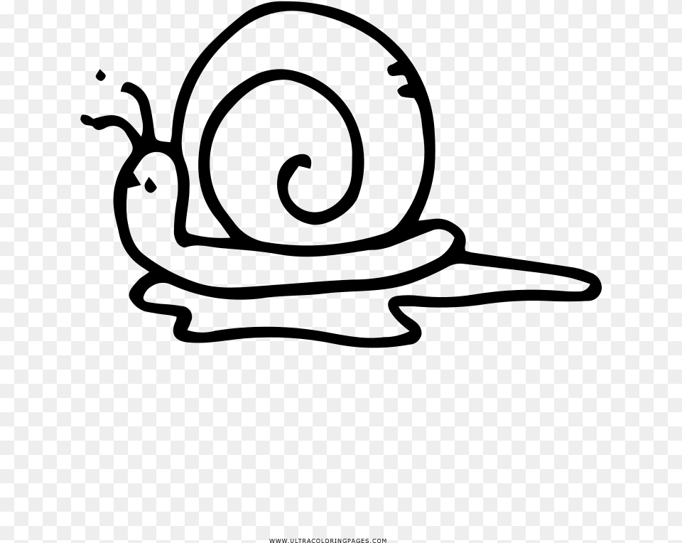 Snails Snail Snail, Gray Free Png