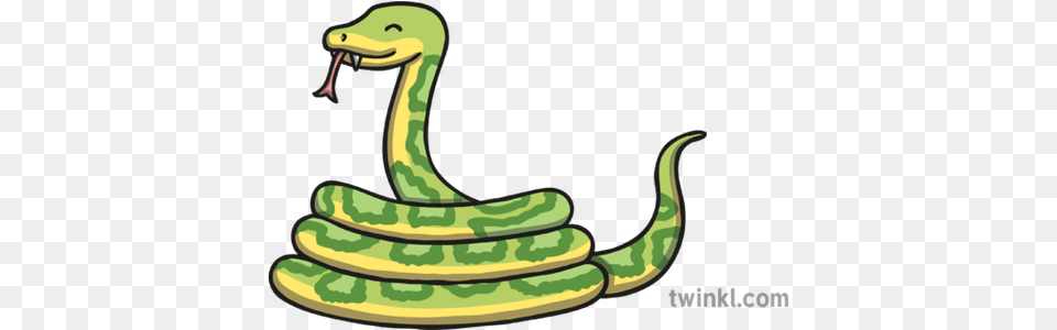 Snake 02 Illustration Twinkl Animal Figure, Reptile, Green Snake Free Png Download