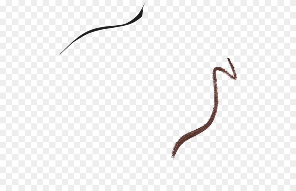 Snake, Animal, Invertebrate, Worm, Insect Free Transparent Png