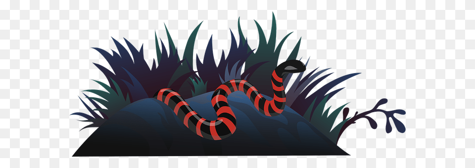 Snake Animal, Reptile, King Snake Png Image