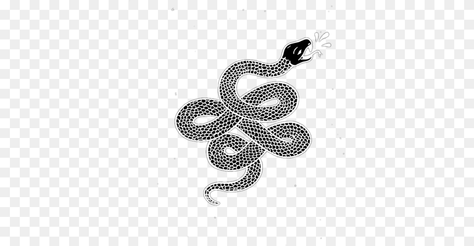 Snake, Animal, Reptile Free Transparent Png