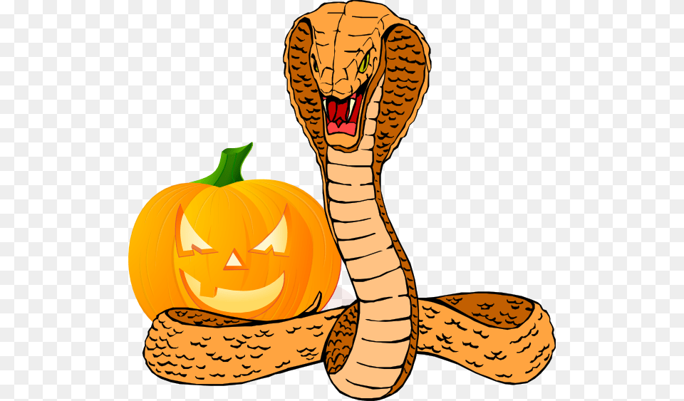 Snake And Pumpkin Clip Art, Animal, Cobra, Reptile Png Image