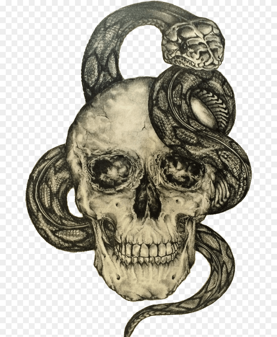 Snake And Skull, Accessories, Art, Ornament, Alien Free Transparent Png