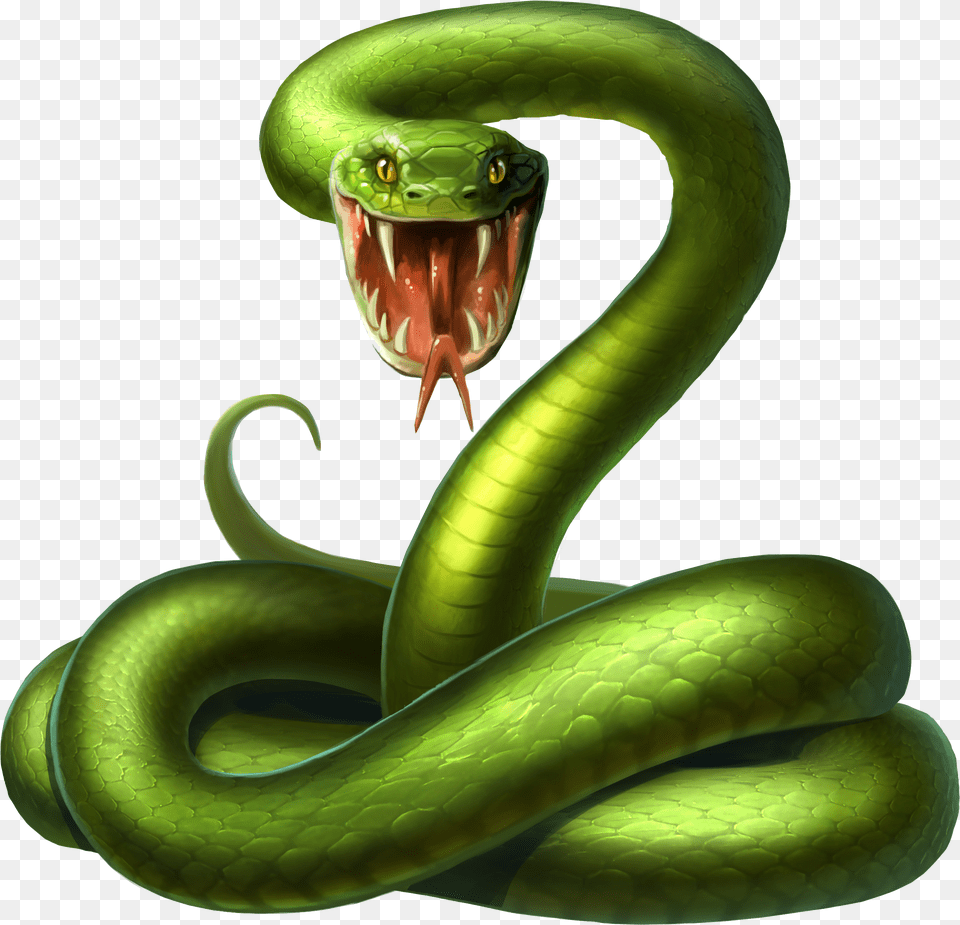 Snake Android Illustration Green 3d Snake Free Png Download