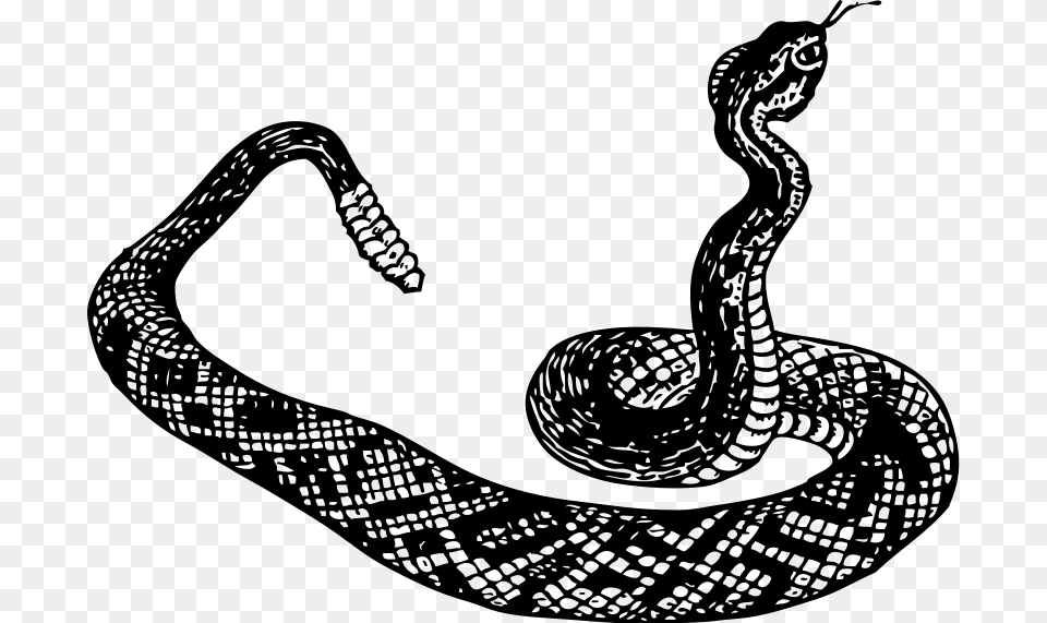 Snake Black And White, Gray Free Transparent Png