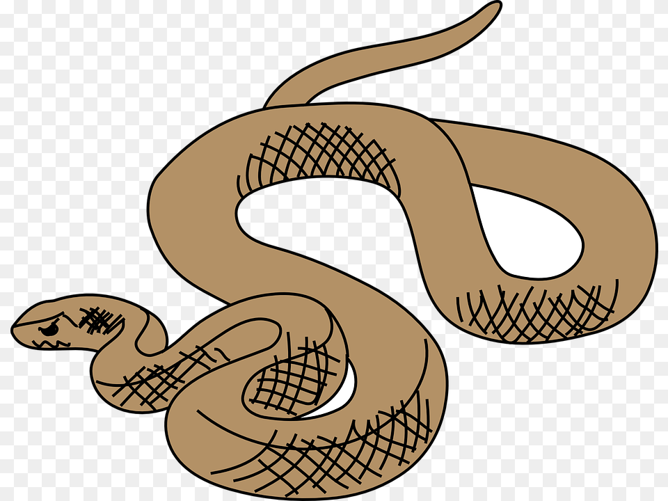 Snake Brown Reptile Slithering Curled Slither Brown Tree Snake Clipart, Animal, Fish, Sea Life, Shark Png Image