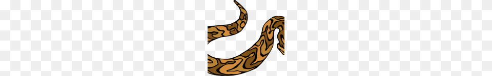 Snake Cartoon Animation Clip Art, Animal, Reptile, Rock Python, Person Free Transparent Png