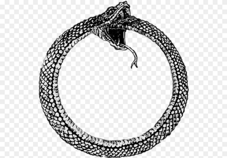 Snake Circle Snake Circle, Accessories, Earring, Jewelry, Animal Free Transparent Png