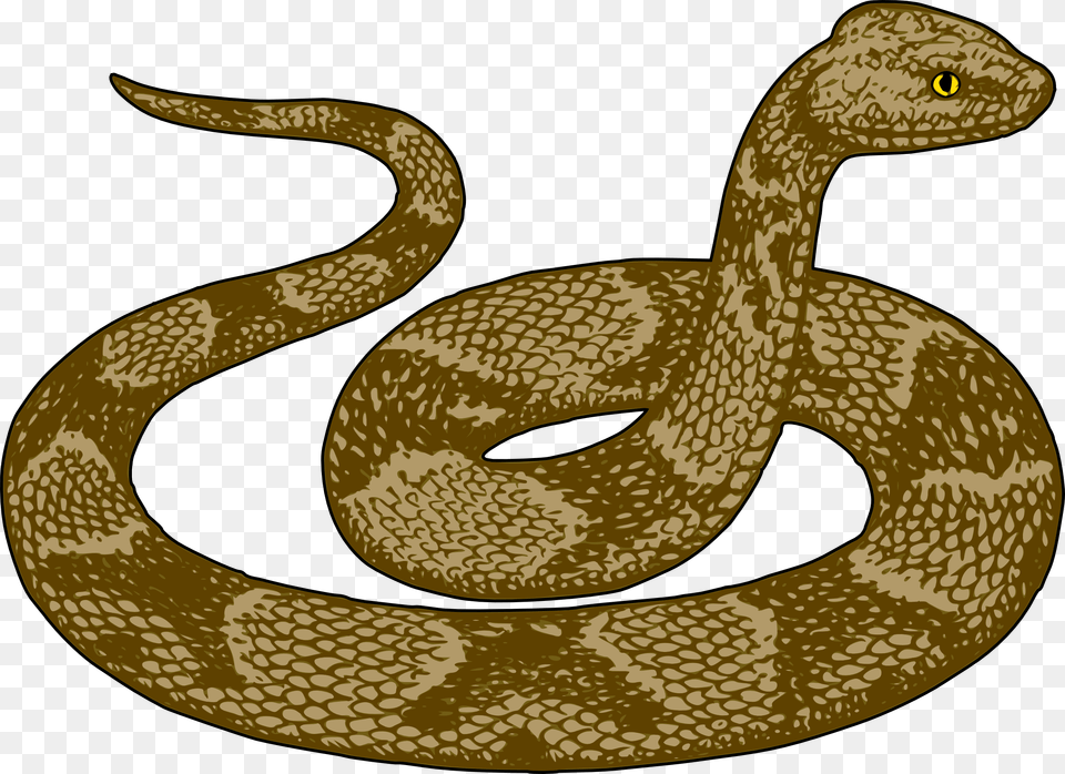 Snake Clip Art Adiestradorescastro Com Clipart Desert Snake Clipart, Animal, Reptile Free Png