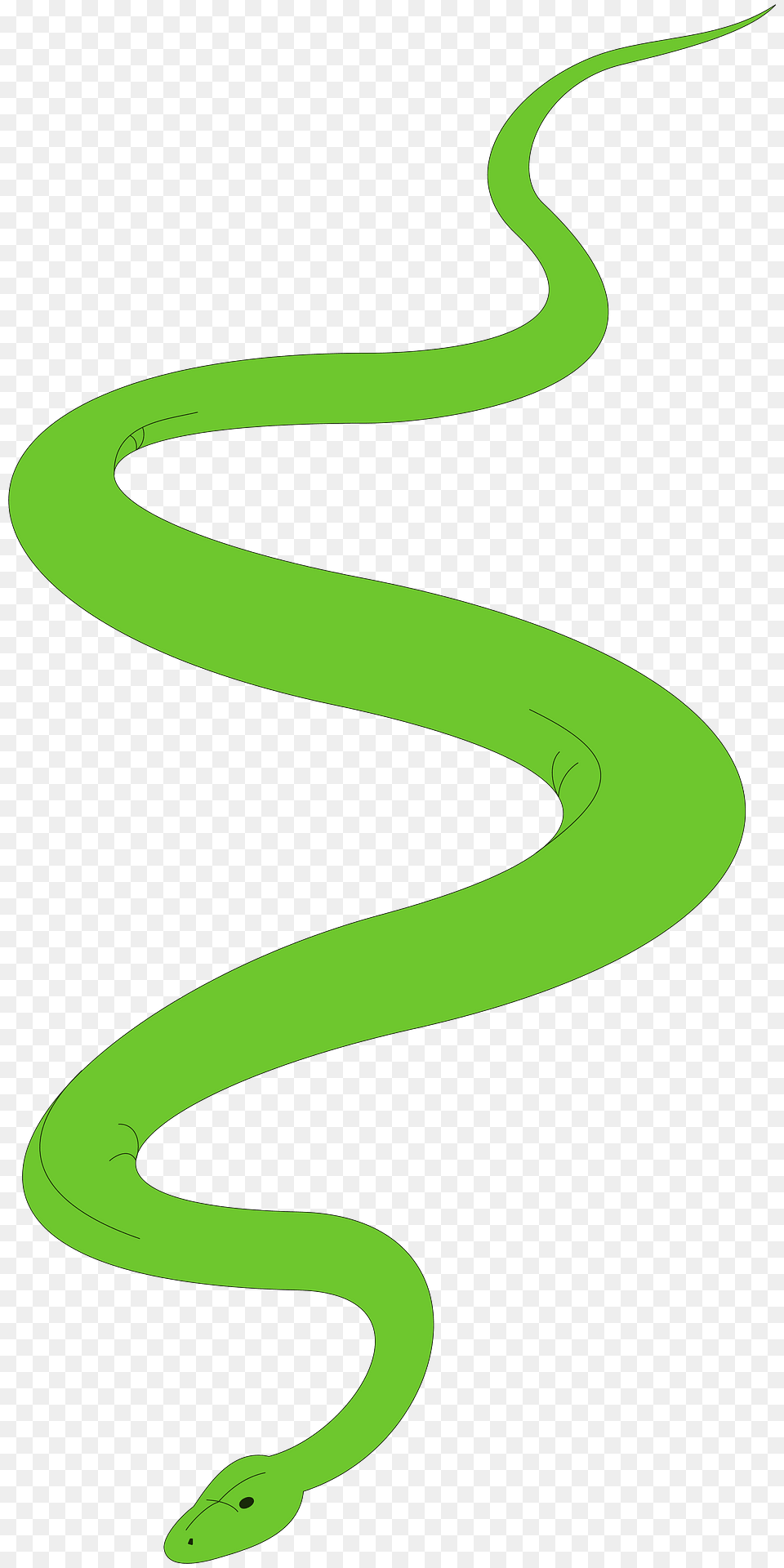 Snake Clipart, Animal, Reptile, Green Snake, Outdoors Png