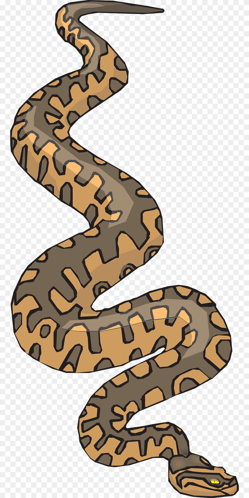Snake Clipart, Animal, Reptile, Rock Python Free Png