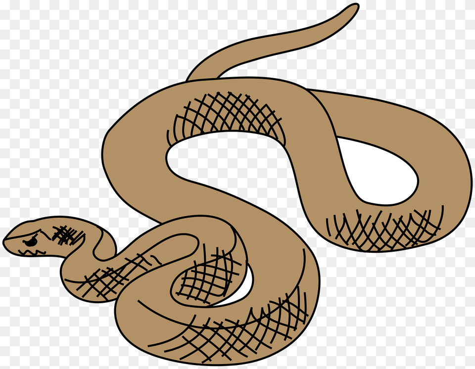 Snake Clipart, Animal, Reptile, Fish, Sea Life Png