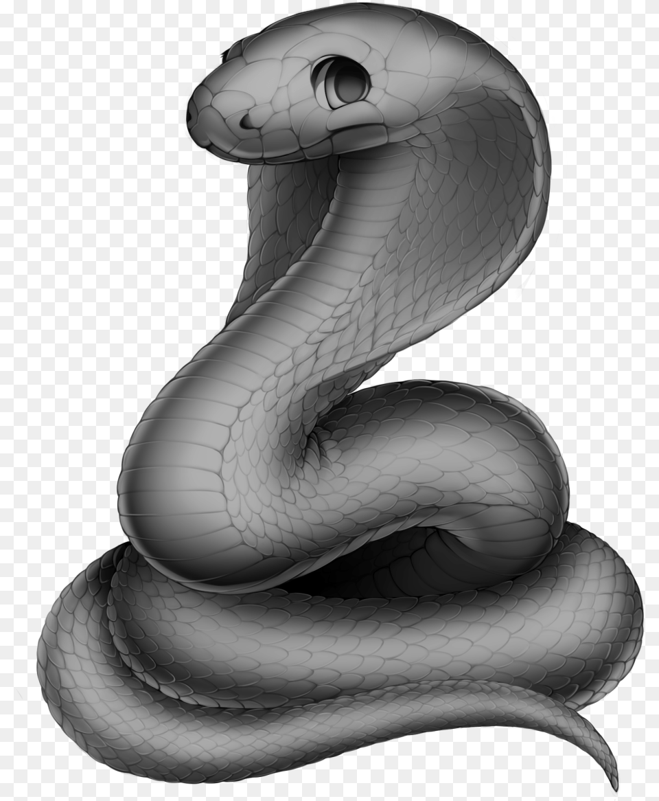 Snake Cobra Base Cobra Snake Base, Animal, Reptile Free Png Download