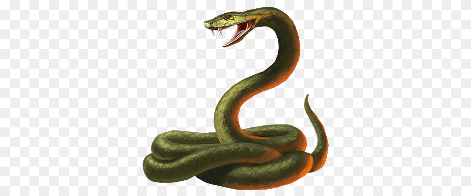 Snake Cobra Transparent, Animal, Reptile Png Image