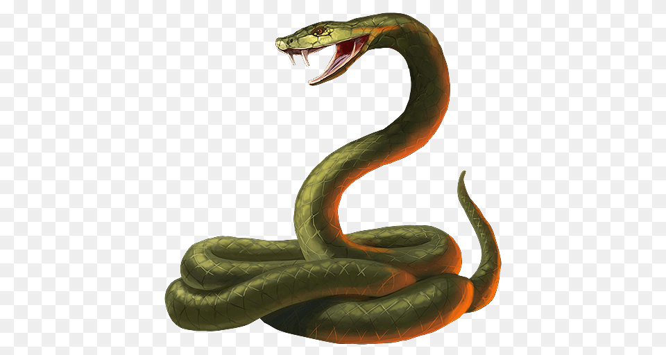 Snake Cobra Transparent, Animal, Reptile Png