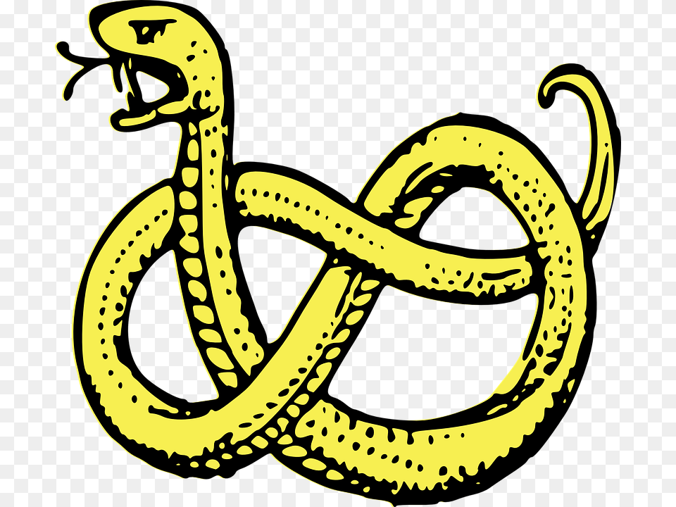 Snake Coiled Serpent Predator Isolated Drawing Coat Of Arms Snake, Animal, Reptile Png Image