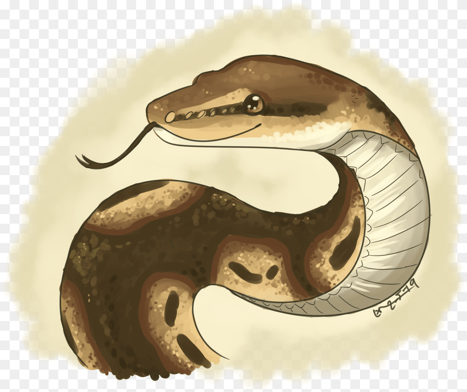Snake Commissions, Animal, Reptile Png Image
